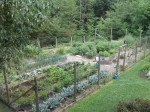 The main garden protected from deer. Several more gardens outside the fence.
